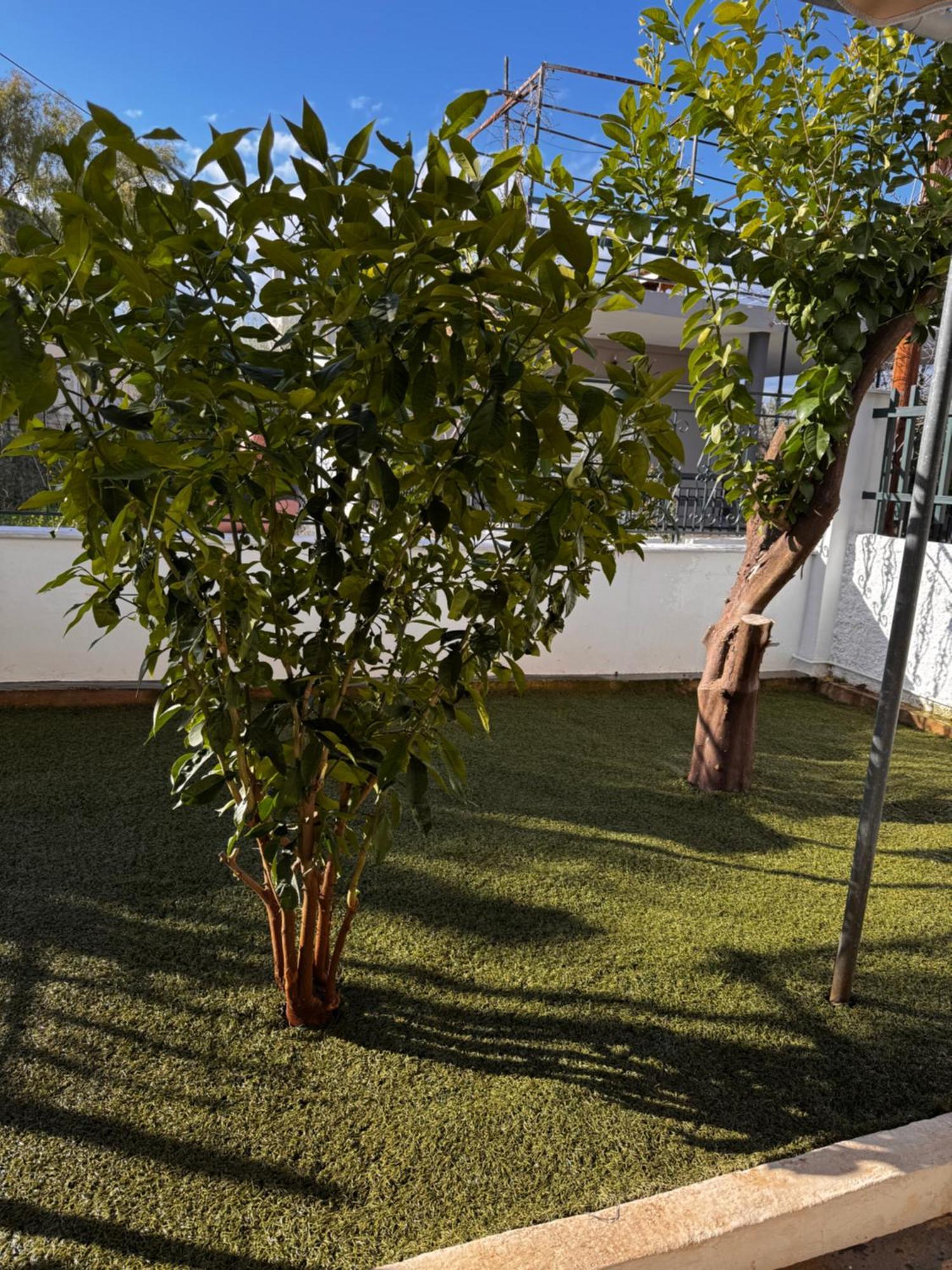 Salamis Luxury Escape Villa Buitenkant foto